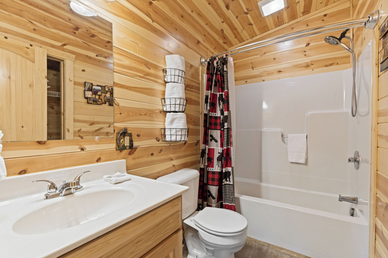 Bathroom 3, A Bearadise, Sevier