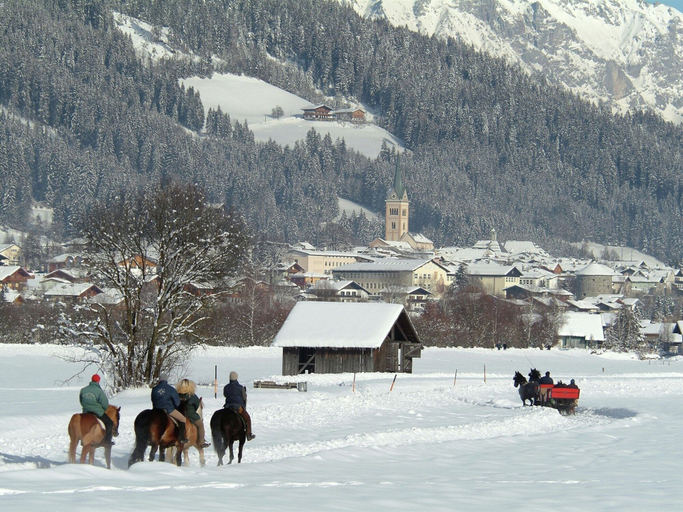 Others 5, Apartment in Untertauern Near the ski Area, Sankt Johann im Pongau