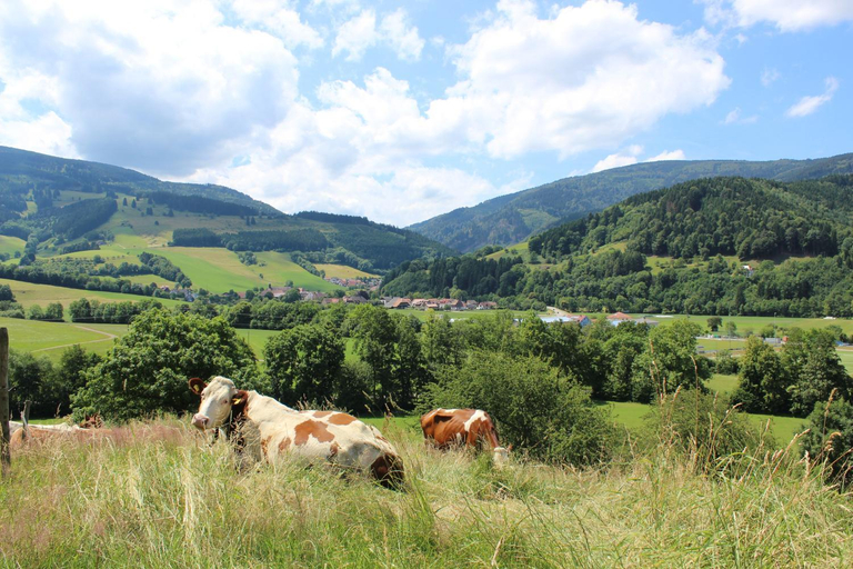 Others 5, Landgasthof zum Schutzen, Breisgau-Hochschwarzwald