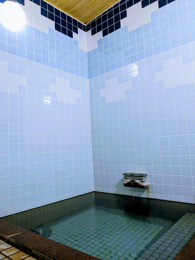 Sport & Beauty 5, Yudanaka Onsen Yamazakiya Ryokan, Yamanouchi