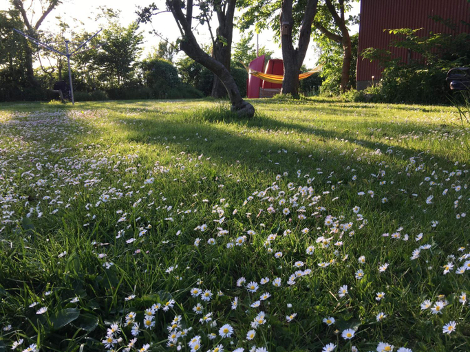 Others 4, Langagergaard B&B - Thy, Thisted