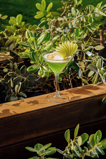 Food & Drinks 7