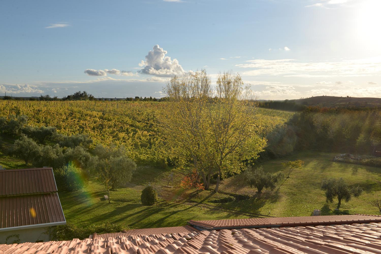 Others 3, Agriturismo Arte et Agricoltura, Viterbo