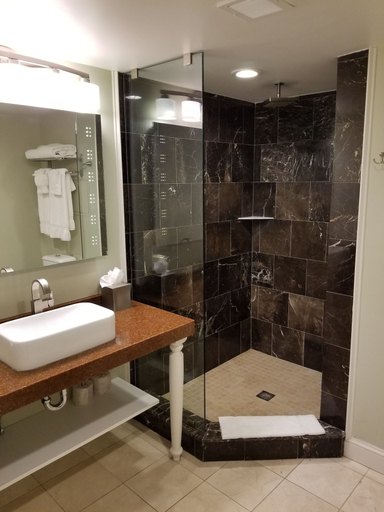 Bathroom 3, The Gin Hotel, an Ascend Collection Hotel, Lexington