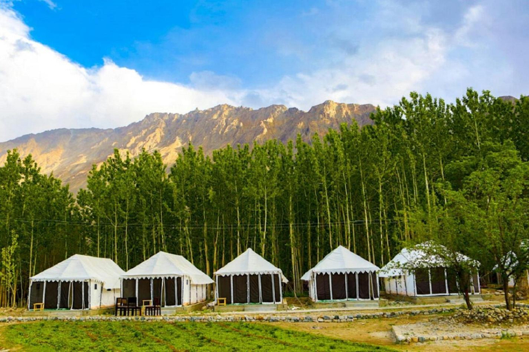 Others 4, Lumbini Camp Hunder, Nubra Valley, Leh