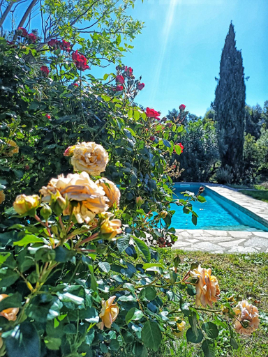 Sport & Beauty 2, Les jardins de Foata, Haute-Corse