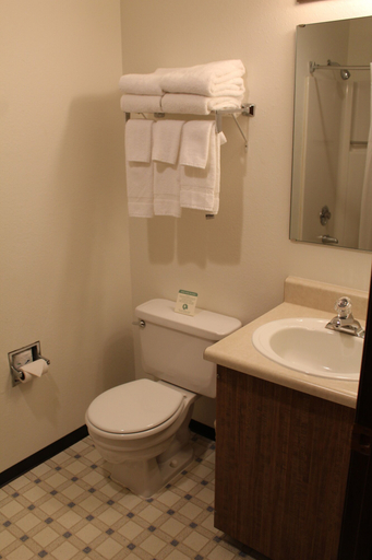 Bathroom 4, Quality Inn & Suites Goldendale, Klickitat