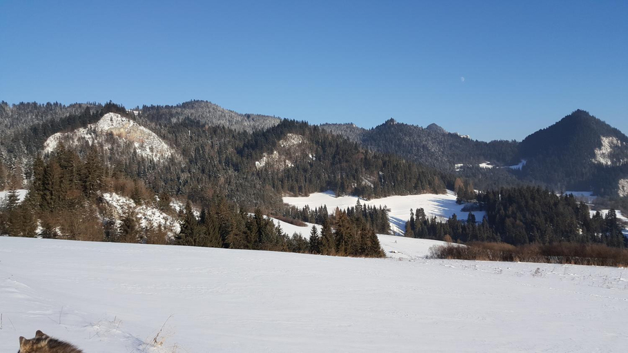 View 5, Pokoje u Pitera, Nowy Targ