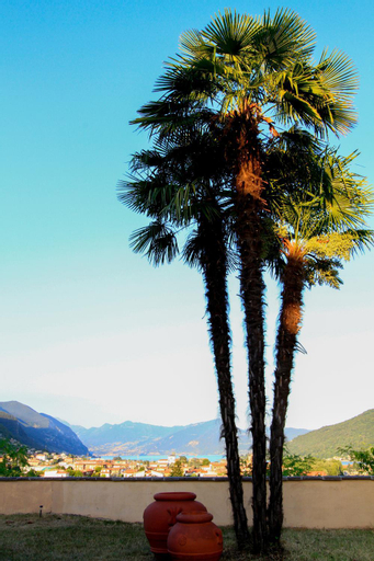 Scenery 10