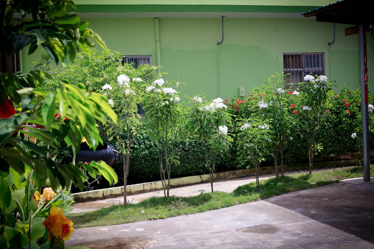 Others 5, G.T. Guest House, Saipan