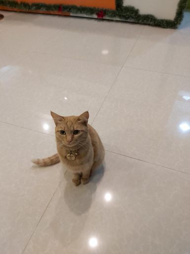 Others 3, Duy Hotel, Đà Lạt