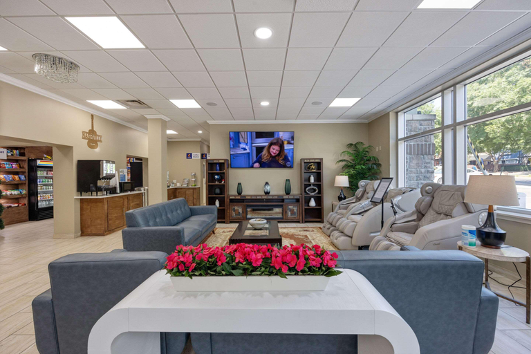 Public Area 2, Comfort Inn Downtown Nashville-Vanderbilt, Davidson