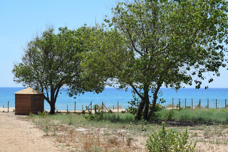 Others 3, Holiday Menfi | Casale Abate, Agrigento