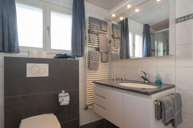 Bathroom 4, Basic Rooms Jungfrau Lodge, Interlaken