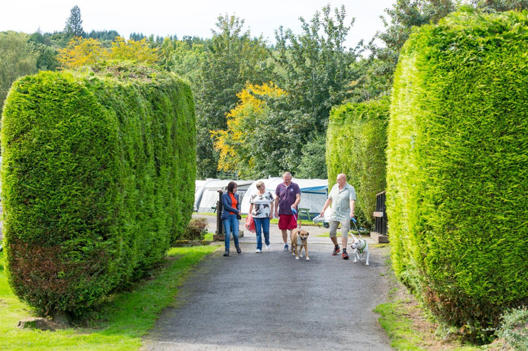 Others 4, Lomond Woods Holiday Park, West Dunbartonshire