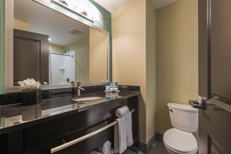 Bathroom 5, Holiday Inn Express & Suites COLORADO SPRINGS CENTRAL by IHG, El Paso