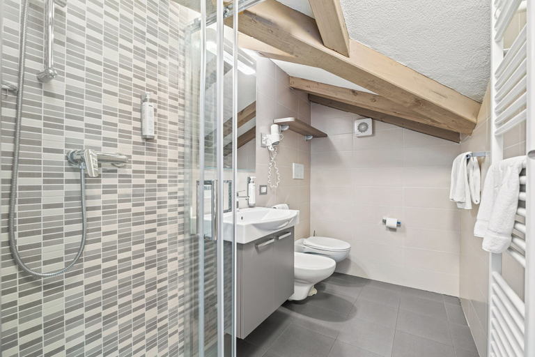 Bathroom 4, Aparthotel Des Alpes, Trento