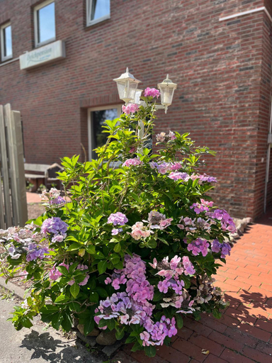Others 5, Deich Quartier 9.2, Cuxhaven