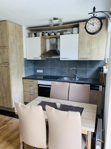 Others 4, Drei Zimmer Apartment am Rhein, Waldshut