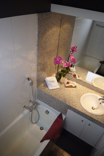 Bathroom 4, Hotel Ariana, Rhône