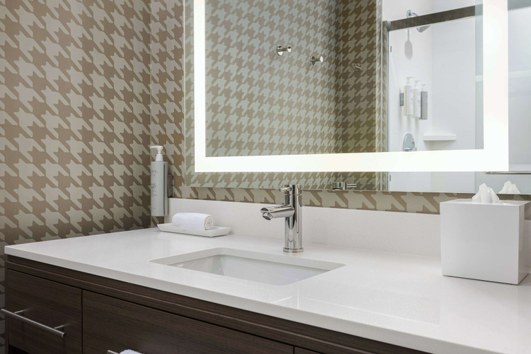 Bathroom 5, Home2 Suites by Hilton Boston Franklin, Norfolk