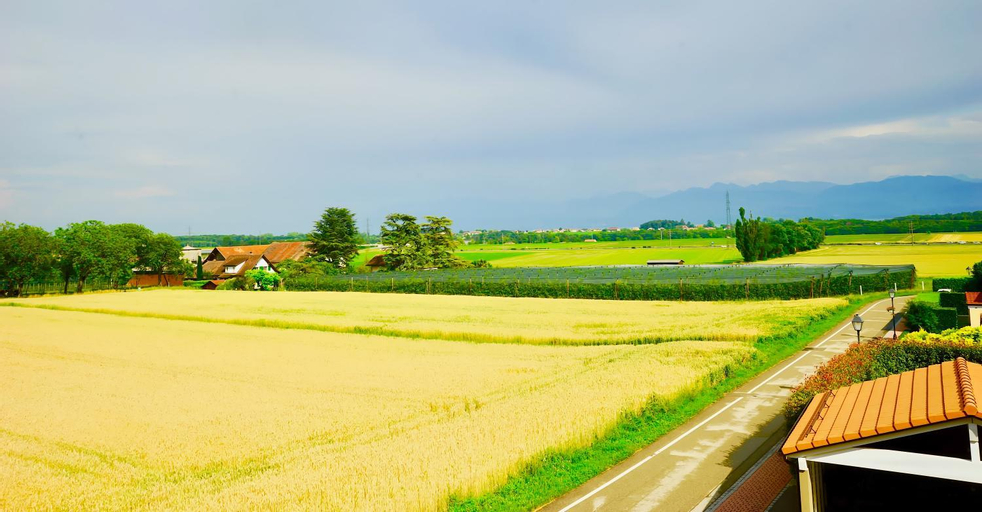 Scenery 5
