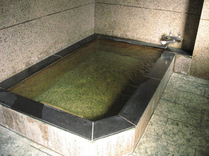 Bathroom 4, Ichifujiso, Fujikawaguchiko