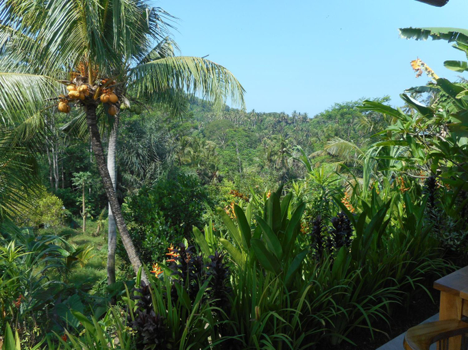 Others 5, Cegeng Lestari Guest House, Karangasem