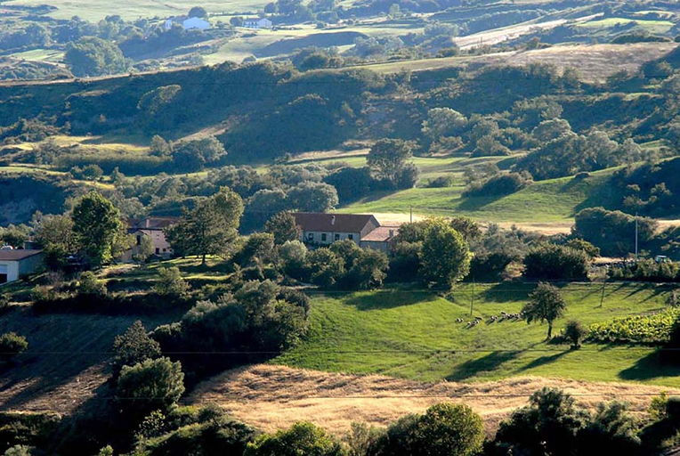Surrounding environment
