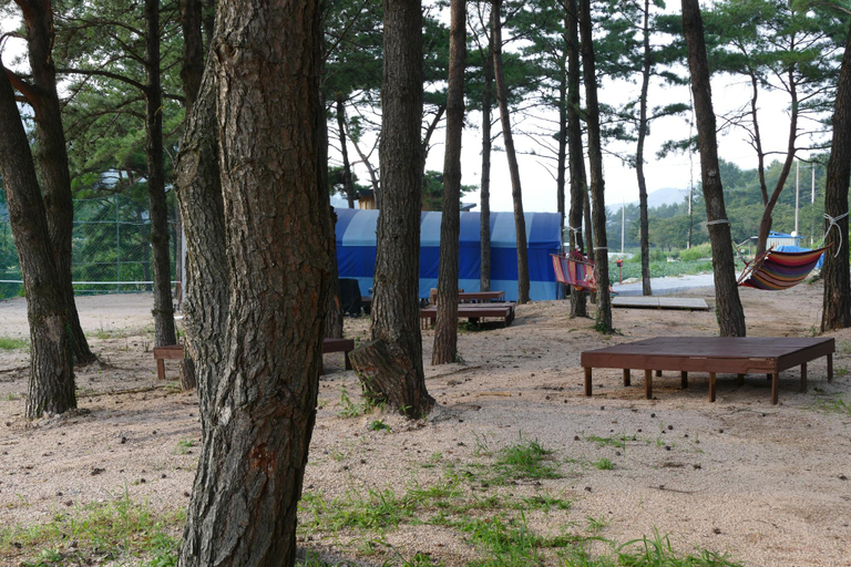 Others 5, Sangju Yeoyurounhwangtojib Pensyeon, Goesan