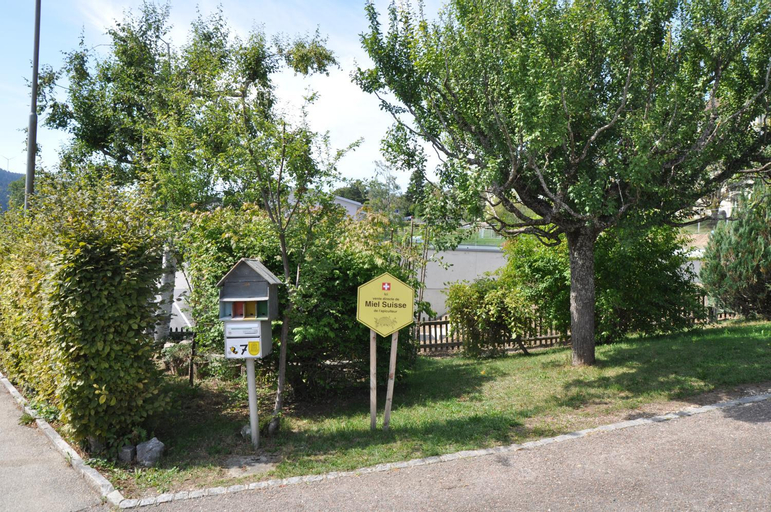 La Ruche, Courtelary
