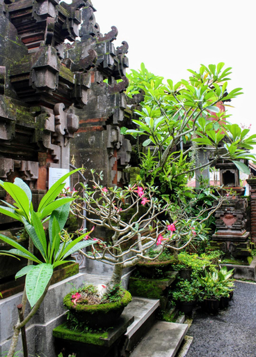 View 3, Zimong House, Gianyar