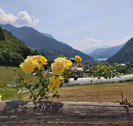 Others 4, Agritur LA DASA, Trento