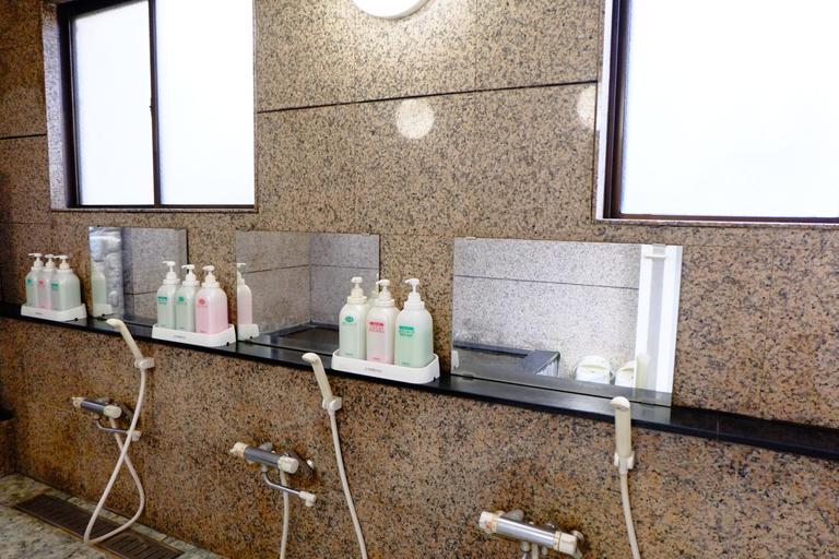 Bathroom 5, Ichifujiso, Fujikawaguchiko