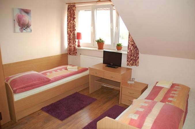 Others 3, Koral Dom Goscinny, Koszalin City