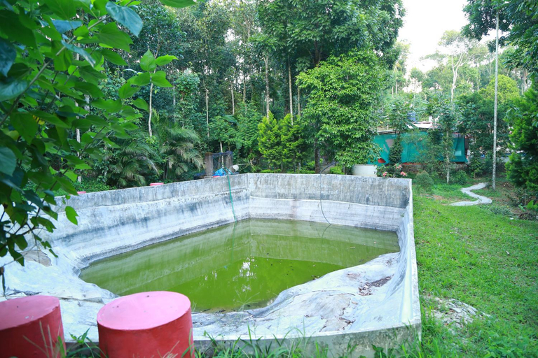Sport & Beauty, Philip Mary Farm Stay, Idukki