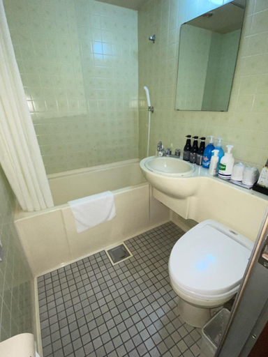 Bathroom 4, Roppongi Plaza Hotel, Minato