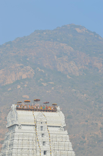 Others 4, Manasarovar Homes - Rajalakshmi Serviced Apartments, Tiruvannamalai