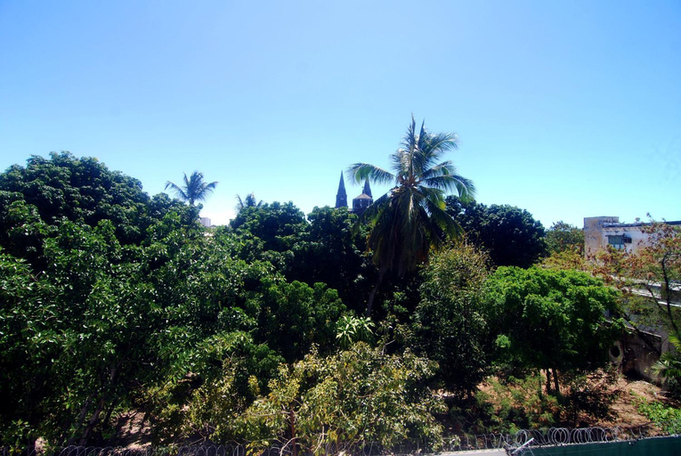 Scenery