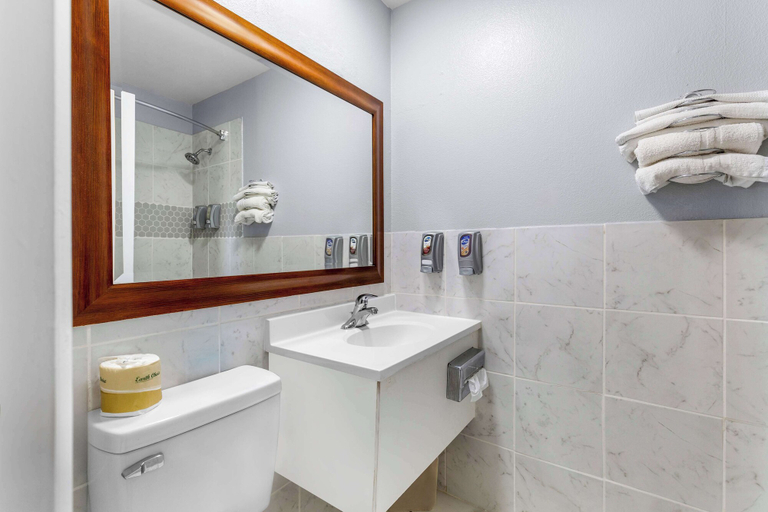 Bathroom 4, Americas Best Value Inn Belleville, Republic