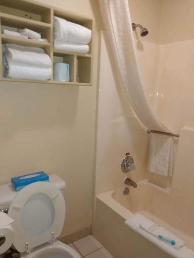 Bathroom 3, Gazebo Inn, Taney