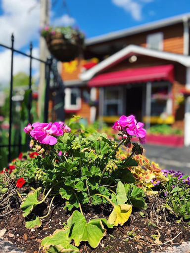 The Homestead Inn, Watauga