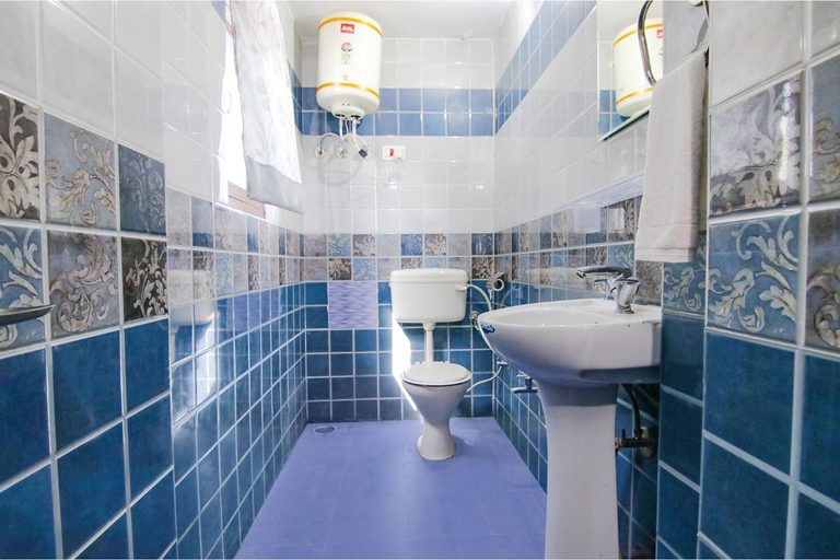 Bathroom 4, Royal Green Buds, Kangra