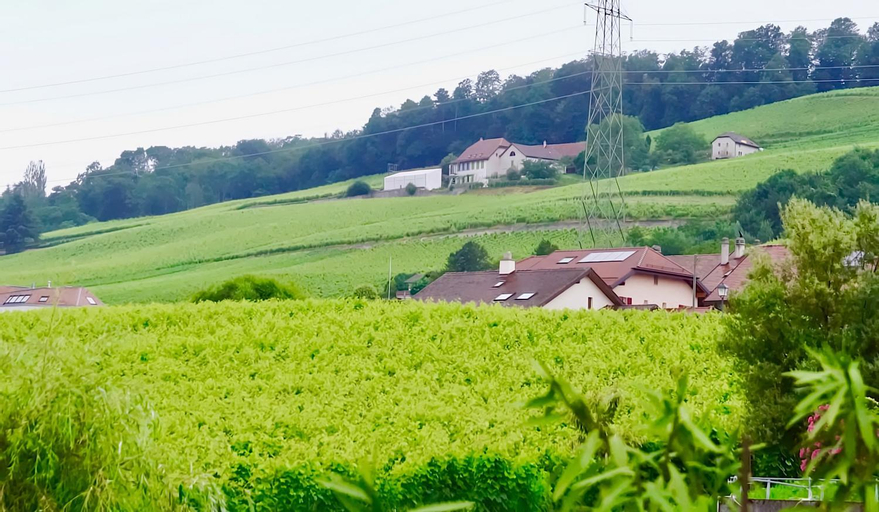 Scenery 10