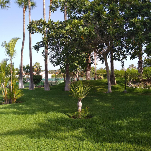 Others 2, Villa maravillosa, Las Palmas