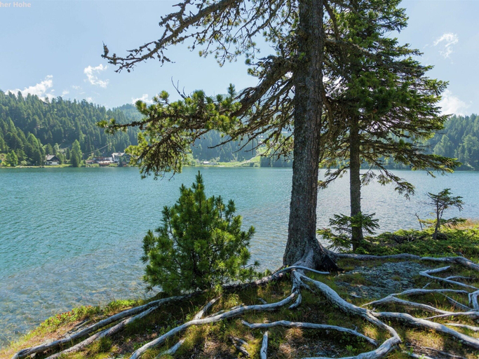 View from property 2, Quiet Chalet in Turracherhöhe with Sauna & Indoor Hot Tub, Murau