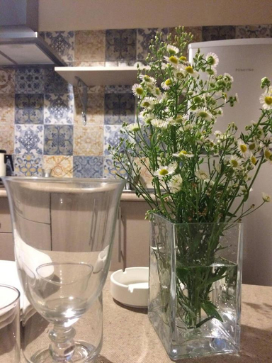 Others 2, Marinas Guesthouse, Kobuleti