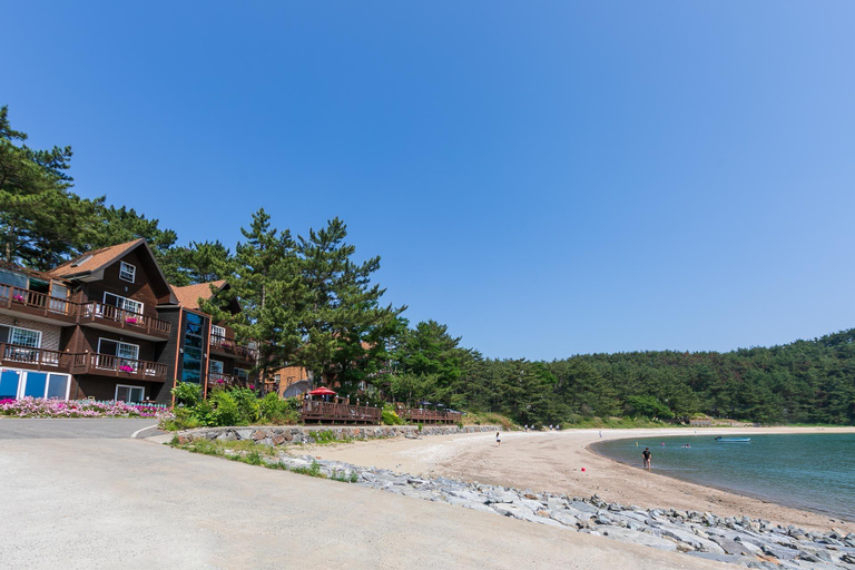 Others 5, Healing beach pension, Taean