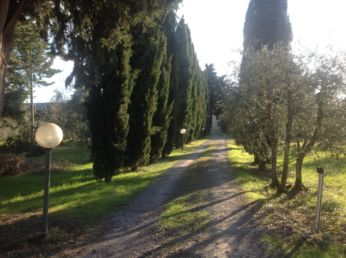 Others 3, Sunshine Suites, Florence