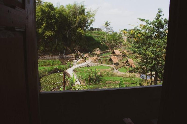 Scenery
